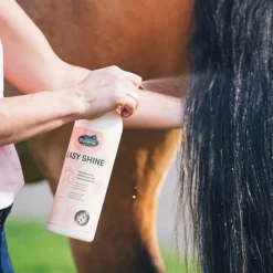 RAVENE Easy Shine lustrant> Gels Et Lotions De Finition|Démêlant