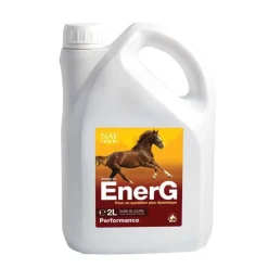 NAF EnerG> Performance|Etat Général