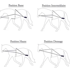 CANTER Enrênement corde Privilège><noscript><img data-lazyloaded=