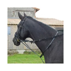 STATIONATA Enrênement Thiedemann> Enrênements Spéciaux|Enrênements Spéciaux