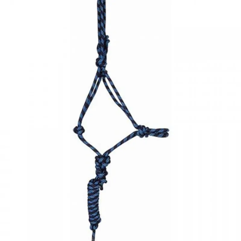 T de T Ensemble licol + longe éthologique> Licol Nylon|Licol + Longe