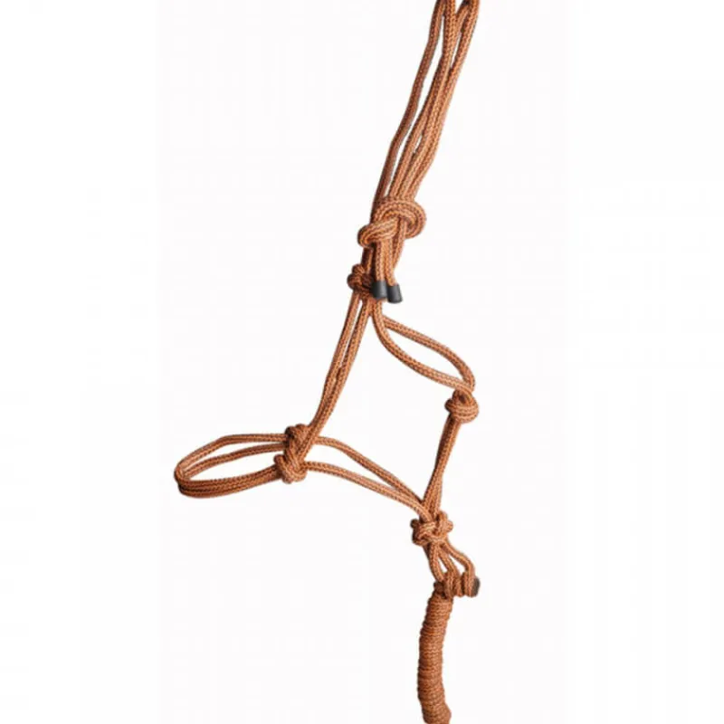 T de T Ensemble licol + longe éthologique> Licol Nylon|Licol + Longe