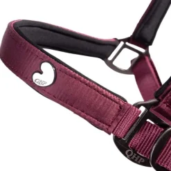 QHP Ensemble licol et longe Lily> Licol Nylon|Licol + Longe