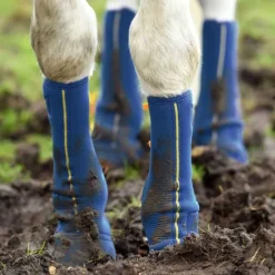 EQUILIBRIUM Equi-chaps Close contact><noscript><img data-lazyloaded=
