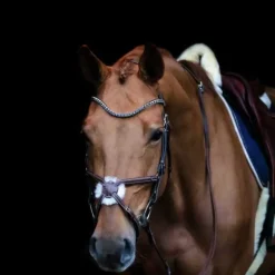 HFI Frontal vague avec Strass Master> Frontal|Bridon