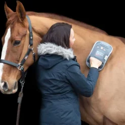 EQUILIBRIUM Gant de massage chauffant><noscript><img data-lazyloaded=