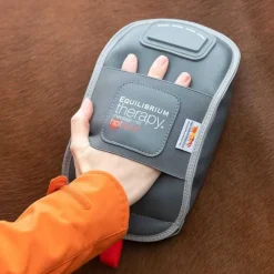 EQUILIBRIUM Gant de massage chauffant><noscript><img data-lazyloaded=