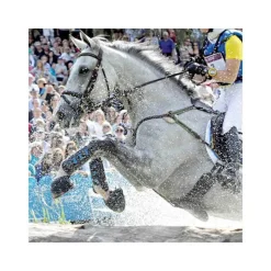 PREMIER EQUINE Guêtres de cross antérieurs Air Cooled> Guêtres Fermées|Guêtres Et Protège-Boulets