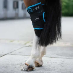 HORSEWARE Guêtres de soin pour jarrets Ice-Vibe> Guêtres De Soin|Protection De Jarret