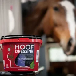 KEVIN BACON'S Hoof dressing - 1L><noscript><img data-lazyloaded=