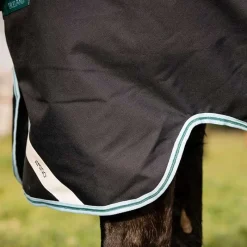 HORSEWARE couverture d'hiver 250g avec cou Amigo Bravo 12 Plus Medium><noscript><img data-lazyloaded=