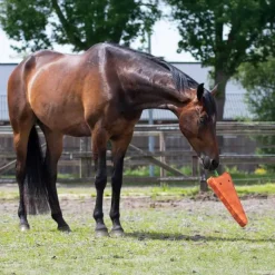 QHP Jouet pour cheval XL> Jouets Pour Chevaux