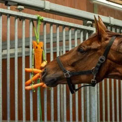 QHP Jouet pour chevaux avec filet à foin> Jouets Pour Chevaux