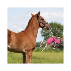 QHP Jouet pour chevaux><noscript><img data-lazyloaded=