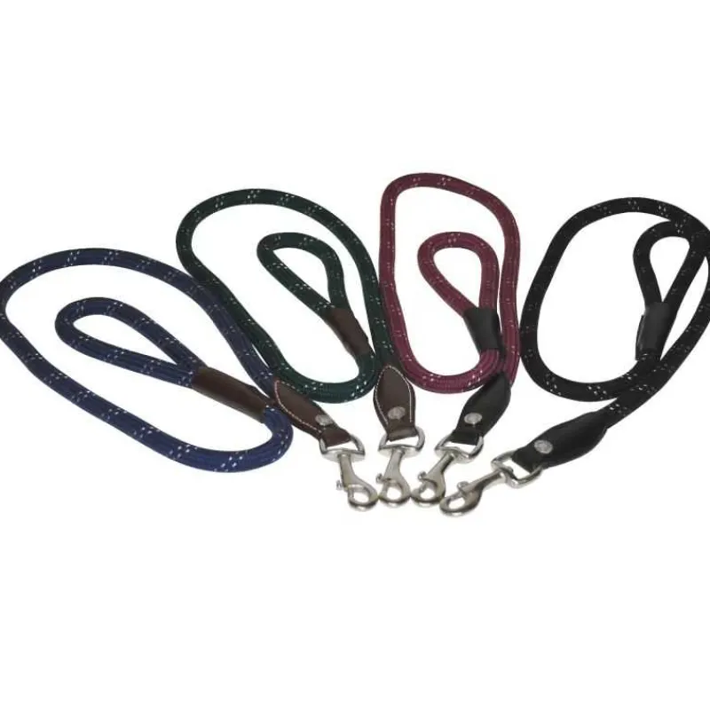 CANTER Laisse pour chien corde> Le Chien