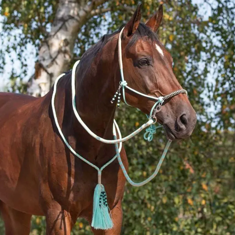 QHP Licol corde et cordelette Liberty> Licol Nylon|Licol + Longe