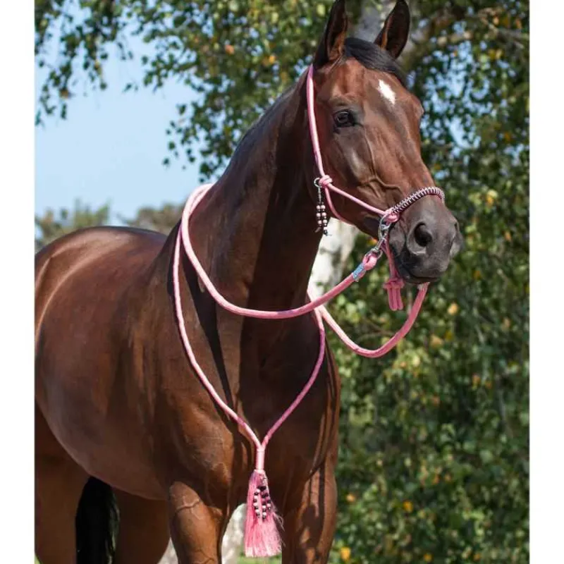 QHP Licol corde et cordelette Liberty> Licol Nylon|Licol + Longe