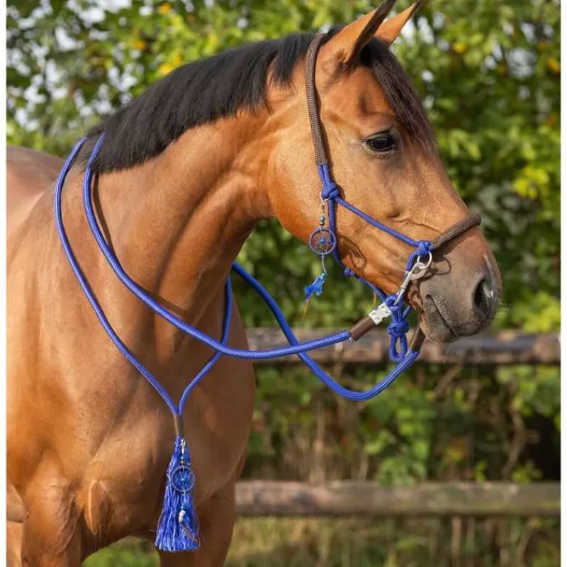 QHP Licol corde et cordelette Liberty> Licol Nylon|Licol + Longe