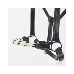 STATIONATA Licol cuir avec muserolle corde><noscript><img data-lazyloaded=