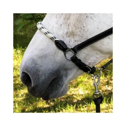 STATIONATA Licol cuir avec muserolle corde><noscript><img data-lazyloaded=