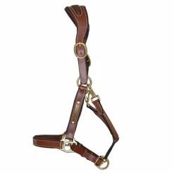 T de T Licol cuir avec plaque> Licol En Cuir