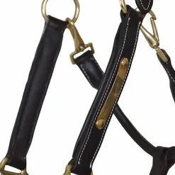 T de T Licol cuir avec plaque><noscript><img data-lazyloaded=