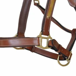 T de T Licol cuir avec plaque><noscript><img data-lazyloaded=