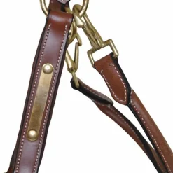 T de T Licol cuir avec plaque><noscript><img data-lazyloaded=