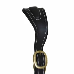T de T Licol cuir avec plaque><noscript><img data-lazyloaded=