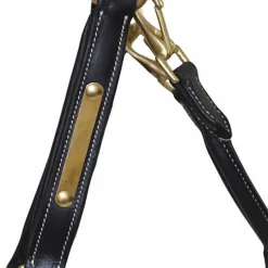 T de T Licol cuir avec plaque><noscript><img data-lazyloaded=