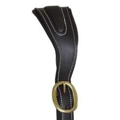 T de T Licol cuir avec plaque><noscript><img data-lazyloaded=