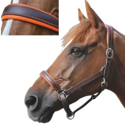 CANTER Licol cuir doublé> Licol En Cuir