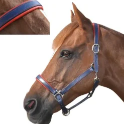 CANTER Licol cuir doublé><noscript><img data-lazyloaded=