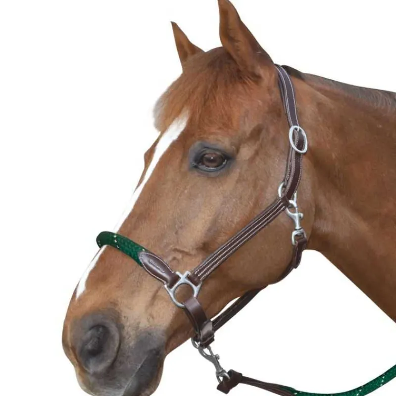 CANTER Licol cuir et corde> Licol En Cuir