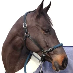 CANTER Licol cuir et corde><noscript><img data-lazyloaded=
