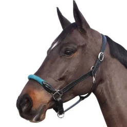 CANTER Licol cuir et corde><noscript><img data-lazyloaded=
