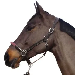 CANTER Licol cuir et corde><noscript><img data-lazyloaded=