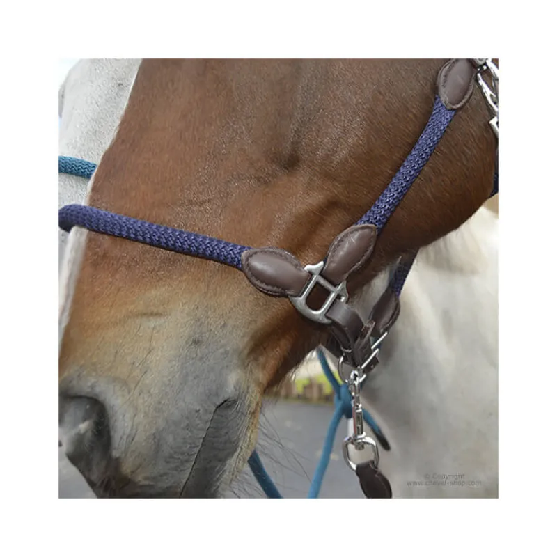 STATIONATA Licol cuir et corde> Licol Nylon|Licol En Cuir
