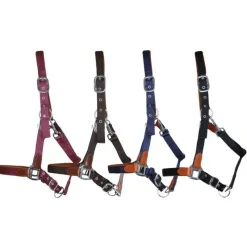 T de T Licol cuir et sangle> Licol Nylon|Licol En Cuir