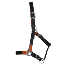 T de T Licol cuir et sangle> Licol Nylon|Licol En Cuir
