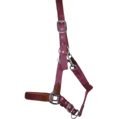 T de T Licol cuir et sangle><noscript><img data-lazyloaded=
