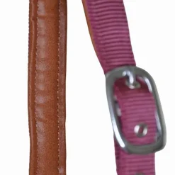 T de T Licol cuir et sangle><noscript><img data-lazyloaded=