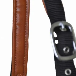 T de T Licol cuir et sangle><noscript><img data-lazyloaded=