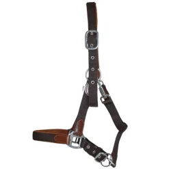 T de T Licol cuir et sangle><noscript><img data-lazyloaded=