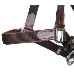 T de T Licol cuir et sangle><noscript><img data-lazyloaded=