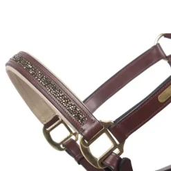 QHP Licol cuir Lupine><noscript><img data-lazyloaded=