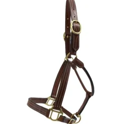 T de T Licol cuir triple couture> Licol En Cuir