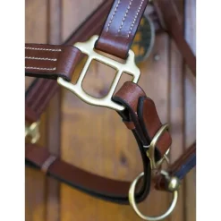 T de T Licol cuir triple couture><noscript><img data-lazyloaded=