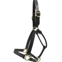 T de T Licol cuir triple couture><noscript><img data-lazyloaded=