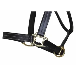 T de T Licol cuir triple couture><noscript><img data-lazyloaded=